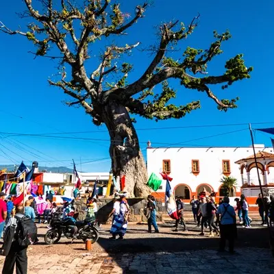 2022 - Entrega de Banderas de la Comparsa Azteca.